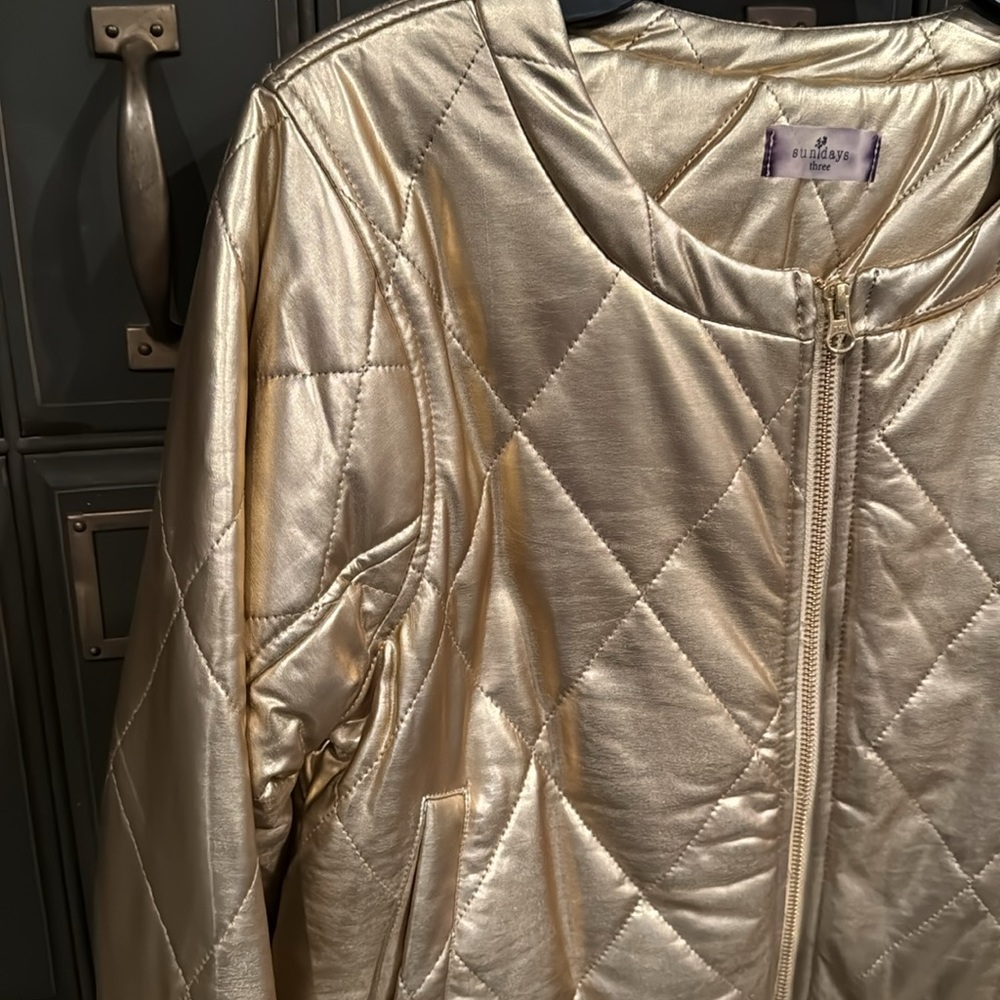 Sundays Metallic Jacket - Picture 2 of 8